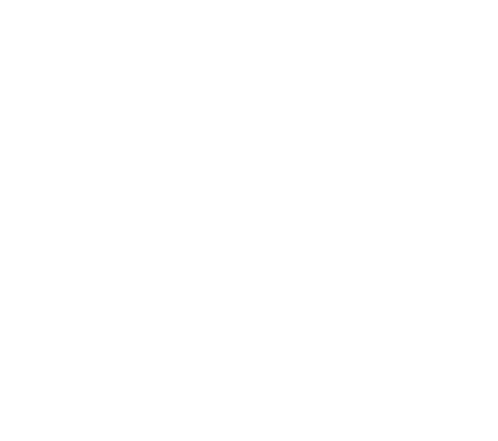 logo southland rent a car punta arenas en blanco